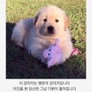 성수