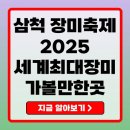 2025 삼척장미축제 완벽 가이드｜최신 정보와 꿀팁 대방출