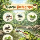 폴짝폴짝 이야기 숲 | [숲놀이] 폴짝폴짝! 개구리의 숲 여행