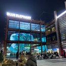 여의대방로7길 | 260316-22 이대 써니스낵, 성수데이트(계자람, 두산x스너글 베어스랜드, 스테치카페), 브로콜리...