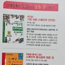 가장 쉬운 터키어 첫걸음의 모든 것 이미지
