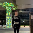 러닝 초보 가성비 준비물 추천 밸런스초이스 벨크로 러닝벨트 후기