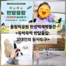 반달어린이공원 | 올림픽공원 한성백제박물관 /<겨울방학교실2 쓱싹쓱싹 반달돌칼: 고대인의 농사도구> 어린이 체험 교육...