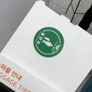 임신 24주차 나트랑 태교여행 준비와 준비 후기