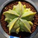 봉옥농장 이미지