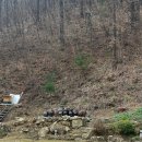 둥근돌 캠핑장 이미지