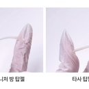 젤탑