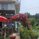 우렁각시쌈밥 이미지