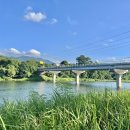 동창천체육공원 이미지