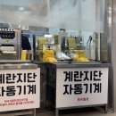 인생만두완당집