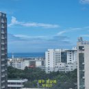 제주원드림공인중개사사무소 이미지