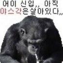 야스