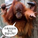 칸투어 이미지
