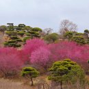 대영농원 이미지