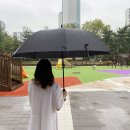하늘의전 이미지