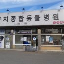 두리종합동물병원 이미지