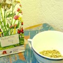 버드나무약국 이미지