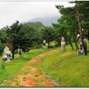 장성공원2 이미지