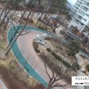 정천초등학교(정자동) 이미지