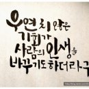 풀향 이미지