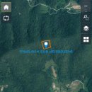 소나무부동산공인중개사사무소 이미지