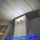 세울리뜨 | 4박 5일 후쿠오카 첫째 날_벳푸에서 유후인 기록하기