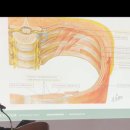 서울근본통내과의원 이미지