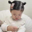 페이보리 이미지