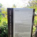 정방사소장 석조여래좌상 및 복장 유물 이미지