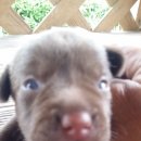 뽀미농장 이미지