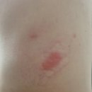 연세탑마취통증의학과의원 이미지