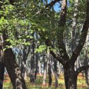 대왕암공원타워주차장화장실 이미지