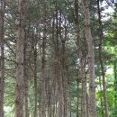 정발산공원 이미지