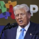 11월3일 이병철의 뉴스클리핑 이미지