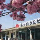 완주고산점 빽다방 이미지