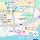 상인비둘기2단지아파트경로당 | [홍콩] 2일차: 구룡반도 쪽 맛집, 초이홍 하우스, 베이크 하우스, 막스누들 후기, 구룡 문화지구...