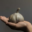 (주)The자람