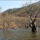 김서방대게수산 이미지