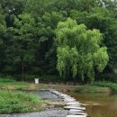 까미랑 몽이 이미지