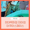 현대수족관 | 현대백화점 미아 수족관 거북이먹이체험 아쿠아스페이스 후기