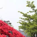 가야대학교 이미지