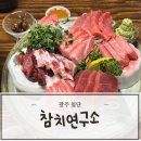 안버림연구소 | 광주 참치 맛집 참치연구소 이정우 첨단 술집 추천