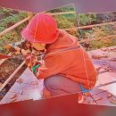 1105 논산 대둔산 수락계곡의 가을 단풍프레임 포토 영상 이미지