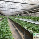 혜명농장 이미지