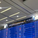 김씨네 미용실 | 한국 와서 뭘 했냐면요