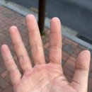 타잔101클라이밍 이미지