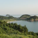 우이도 풍성사구 이미지