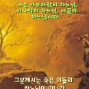 2024-06-05 성 보니파시오 주교 순교자 기념일 이미지