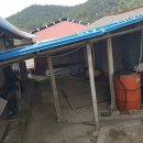 금당면-1 이미지