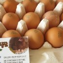 하민농장 이미지